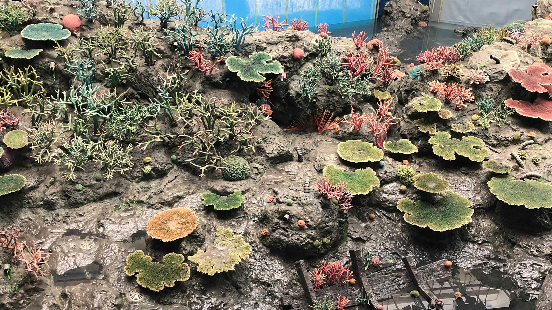 2023 Chimelong Ocean Kingdom, Zhuhai, Guangdong, P.R. China:<br> Marine Sciences Center       Ecologies Tanks.