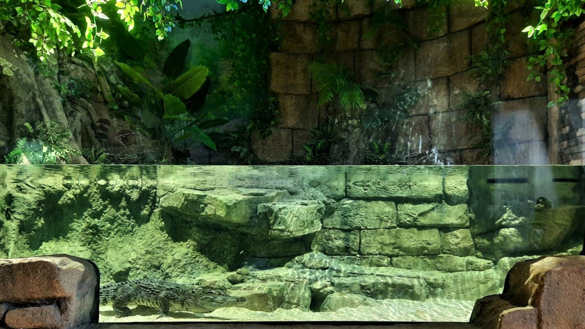  2022 Angkor Wildlife and Aquariums, Seam Reap, Kingdom of Cambodia:<br> Marine Ecologies Tanks, Fresh Water Ecologies Tanks, Brackish Ecologies Tanks